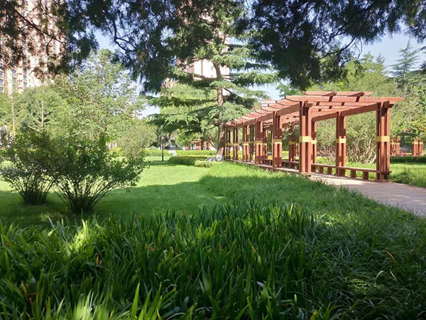 �̌W(xu��)�h(hu��n)��